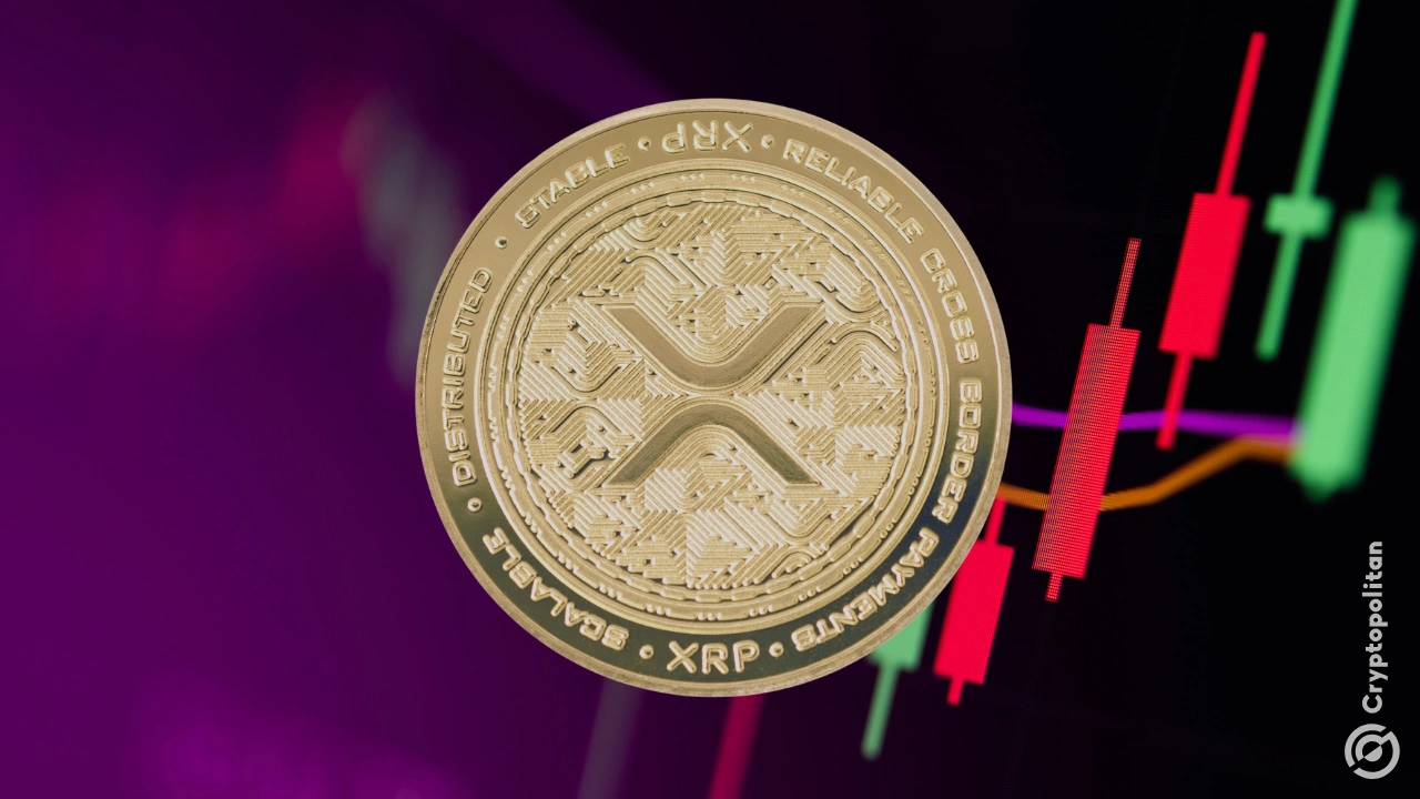 金年会网页版登录入口XRP突遭安全漏洞，流失高达Coinbase万美元